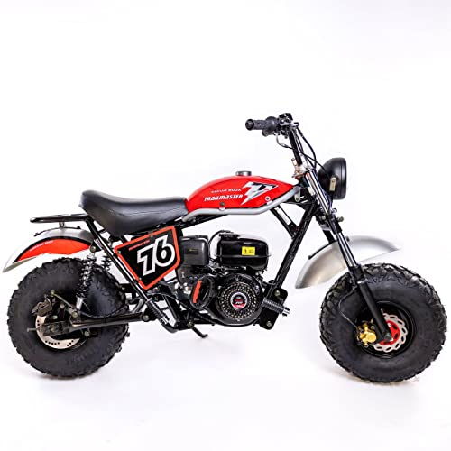 196cc Mini Bike with Front and Rear Brakes Q238