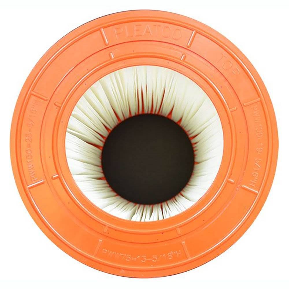 Replacement Cartridge for Waterway Pool 100 P7918