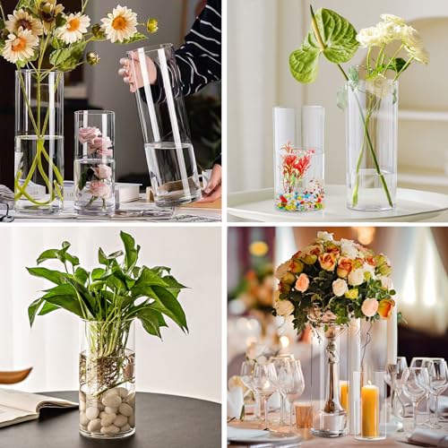 Clear Glass Cylinder Vases Set of 6 A414