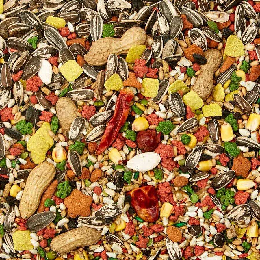 Parrot Food V149704