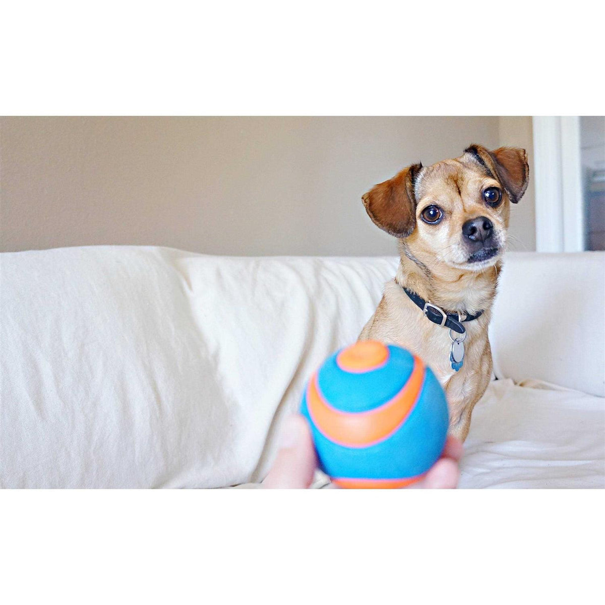 Ball G982647
