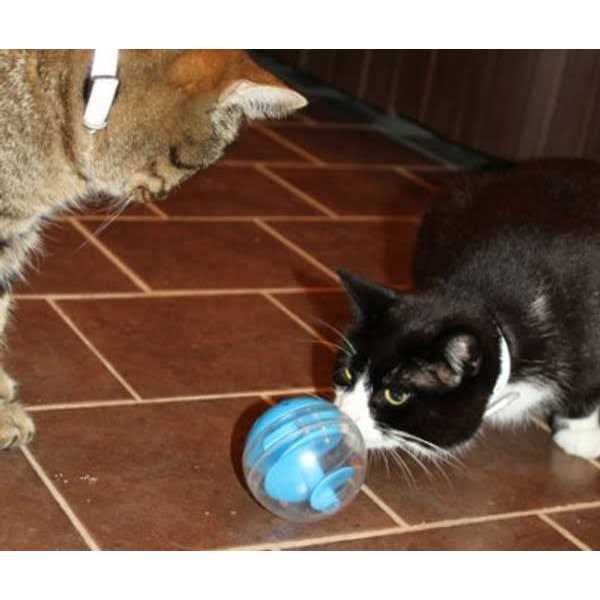 Treat Ball H2324