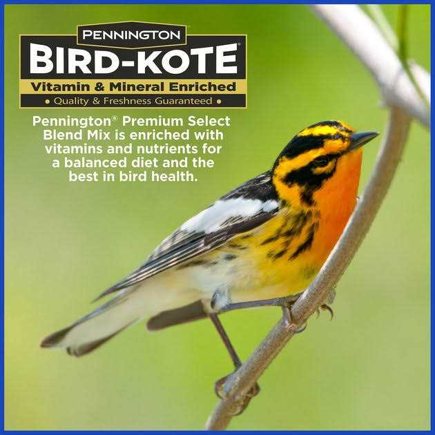 Bird Food D641458