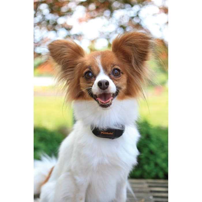 Vibration Bark Control Dog Collar H96491