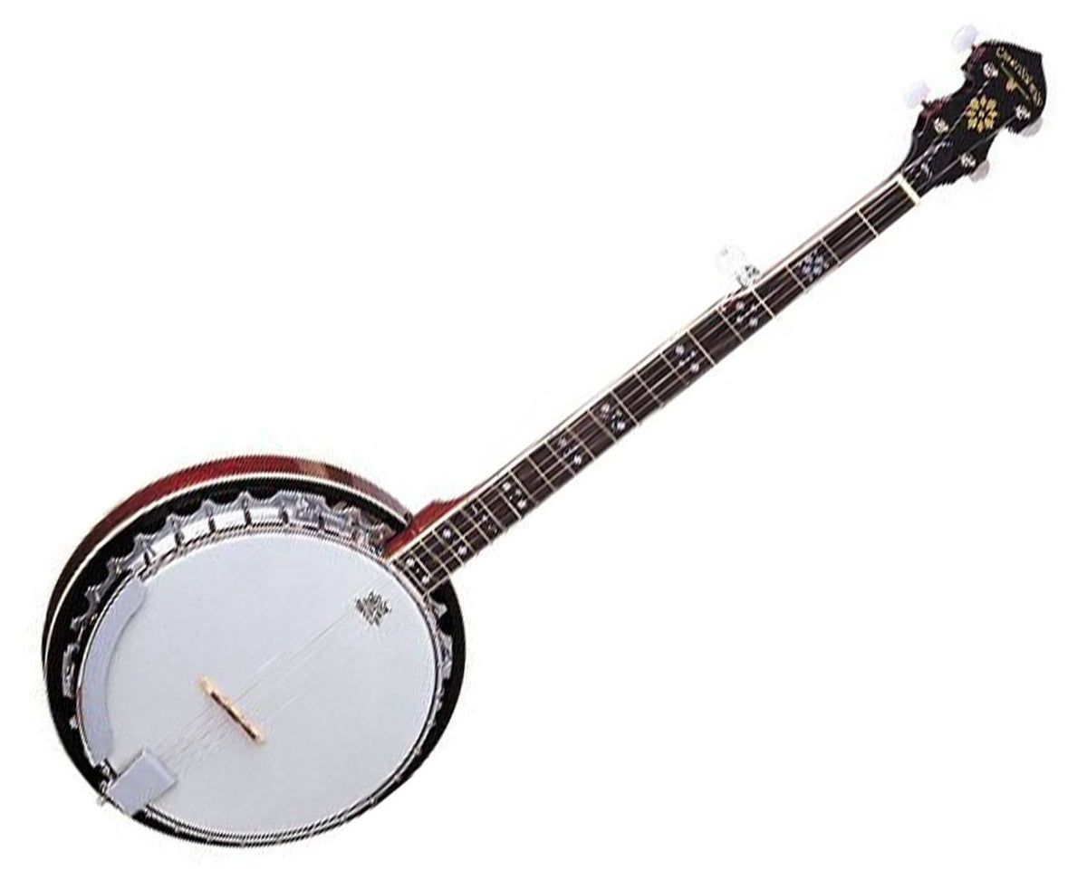 5-String Banjo T5550