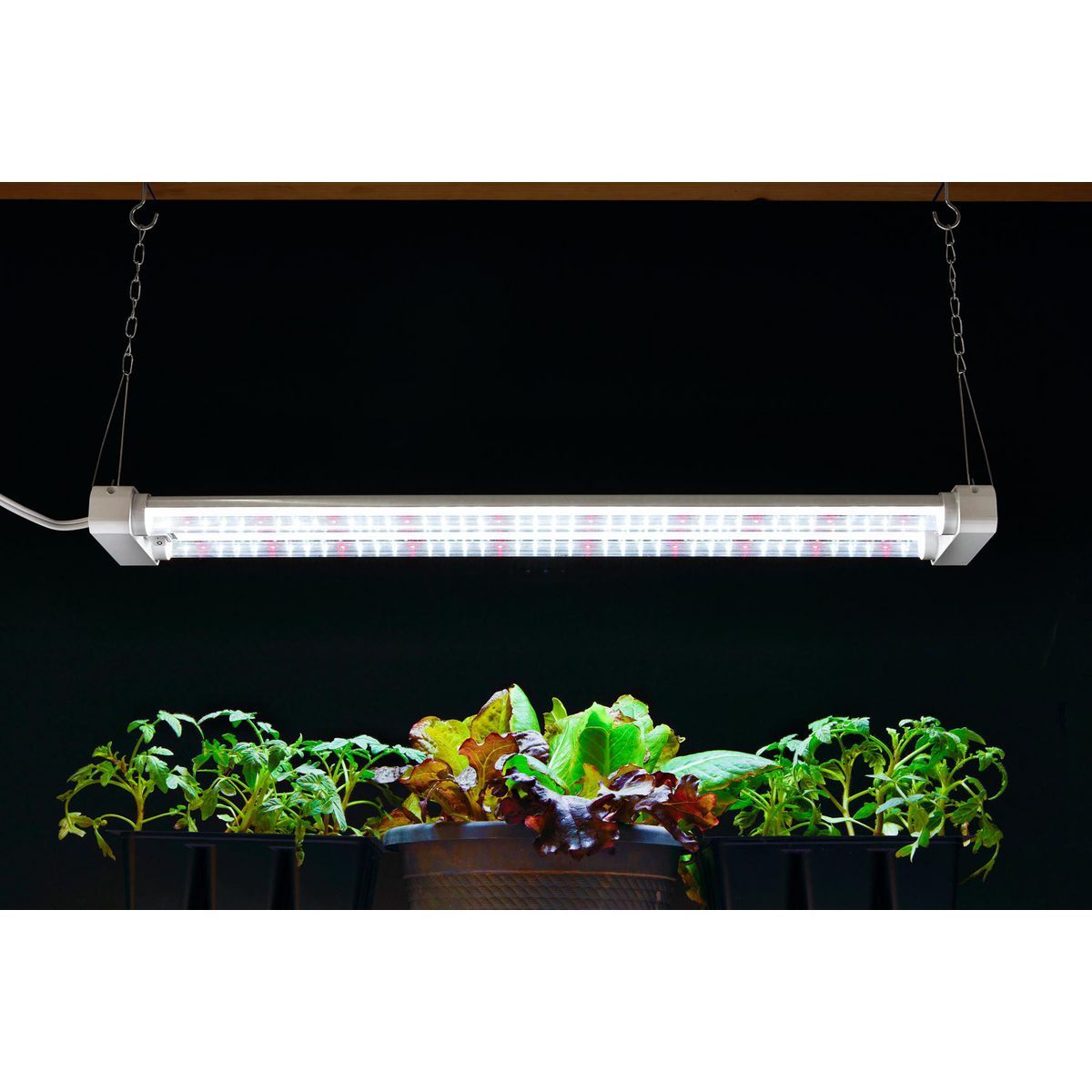 19 Watt 2 ft. Full Spectrum LED Grow Light C1274
