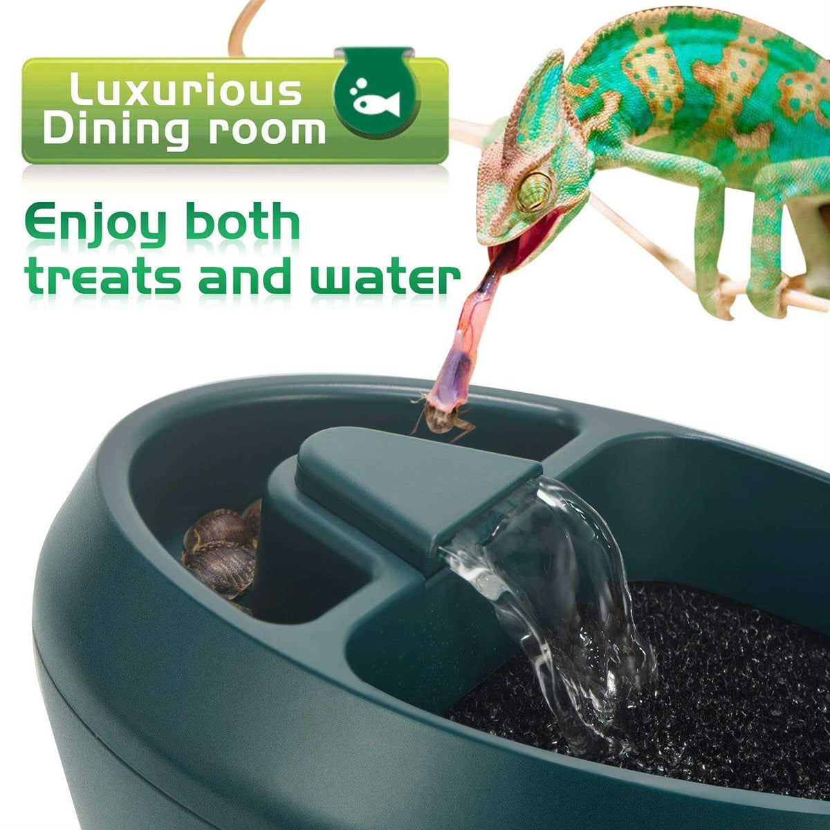 Reptile Drinking Fountain Water Dripper M995