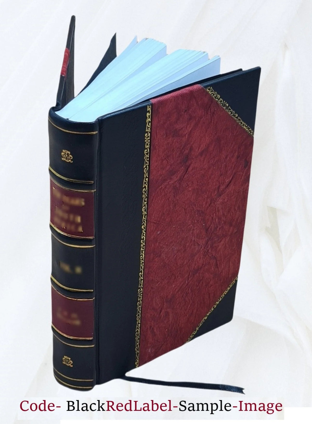 1901 Leather Bound Q843