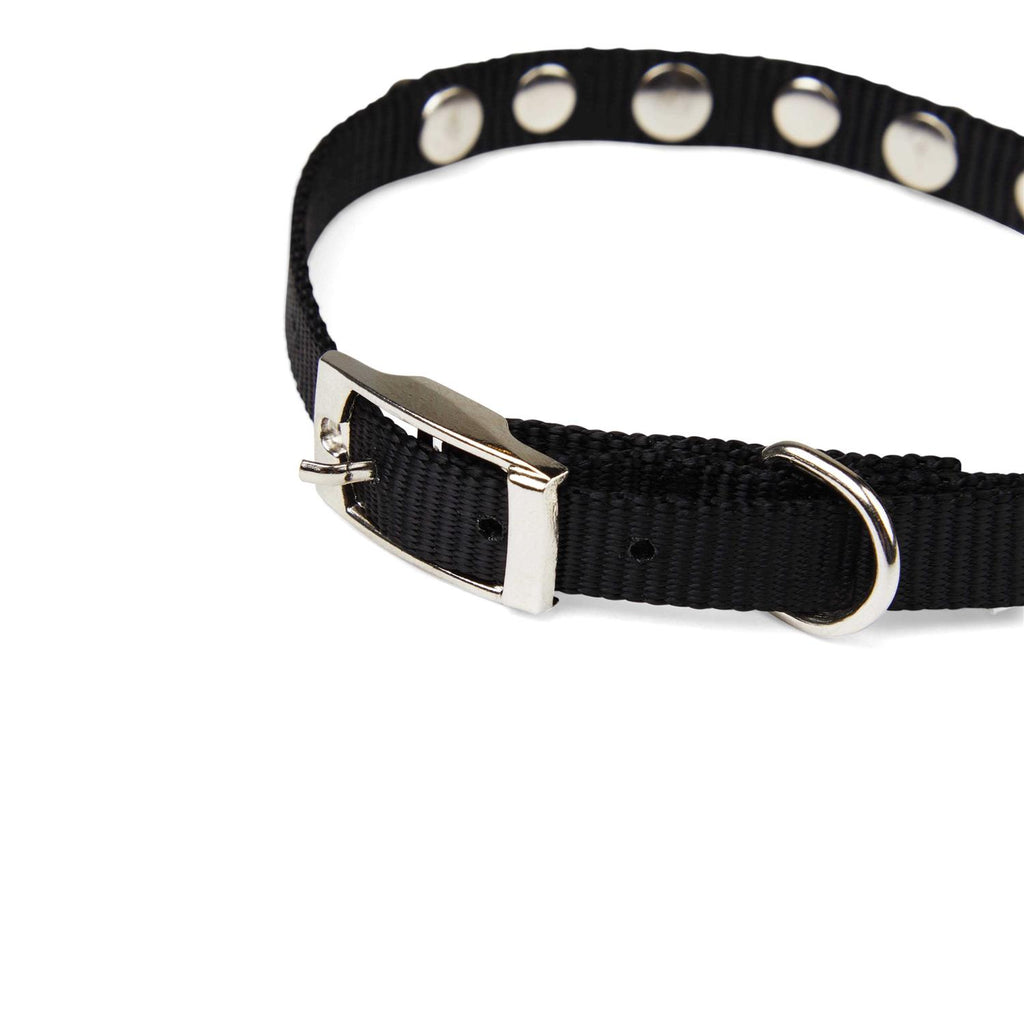 Black Bling Dog Collar T93142