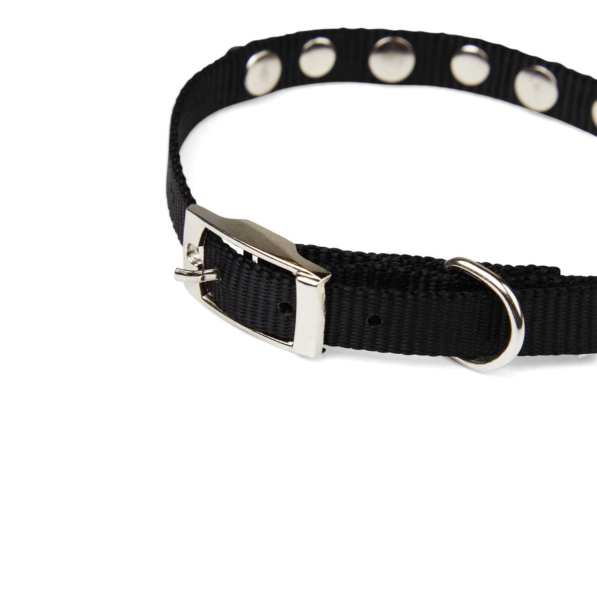 Black Bling Dog Collar T93142