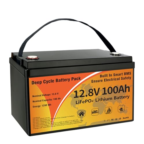 12V 100Ah LiFePO4 Lithium Battery B533534
