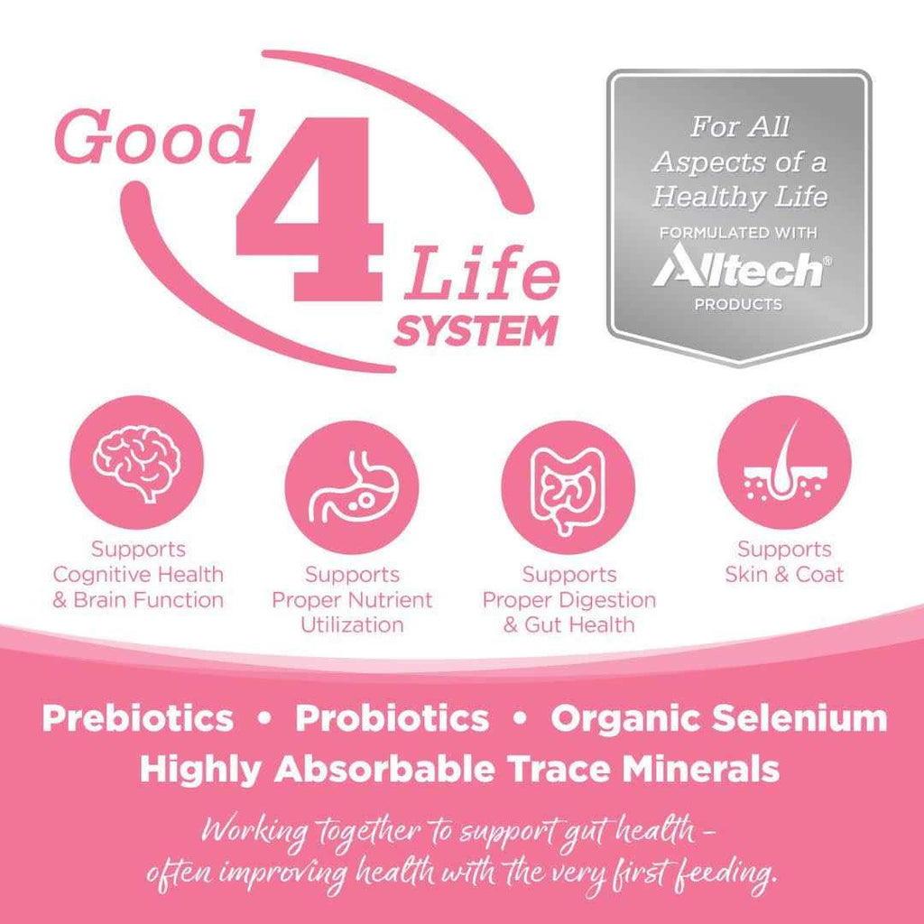 Grain Free Salmon Dog Food B113594