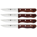4pc Steak Knife Set with Storage Case W72100
