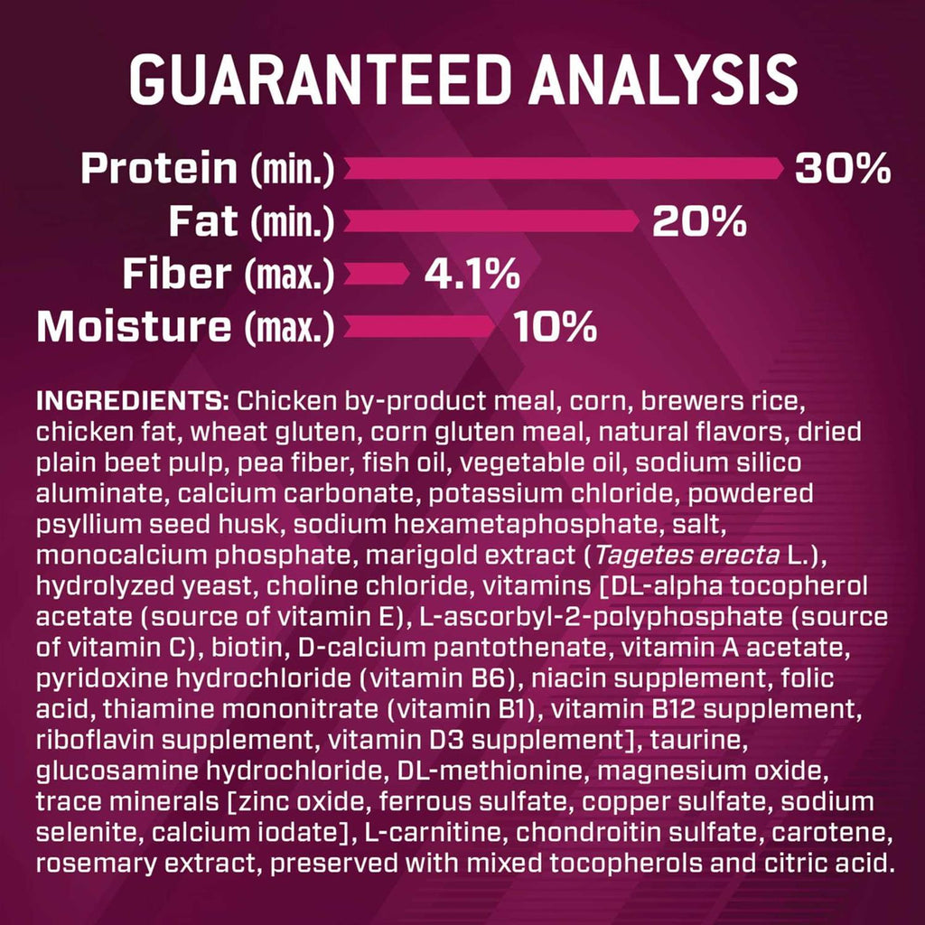 Dry Dog Food G23944