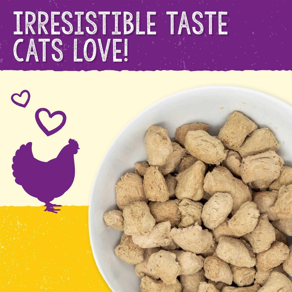Chicken Freeze-Dried Cat Food K367