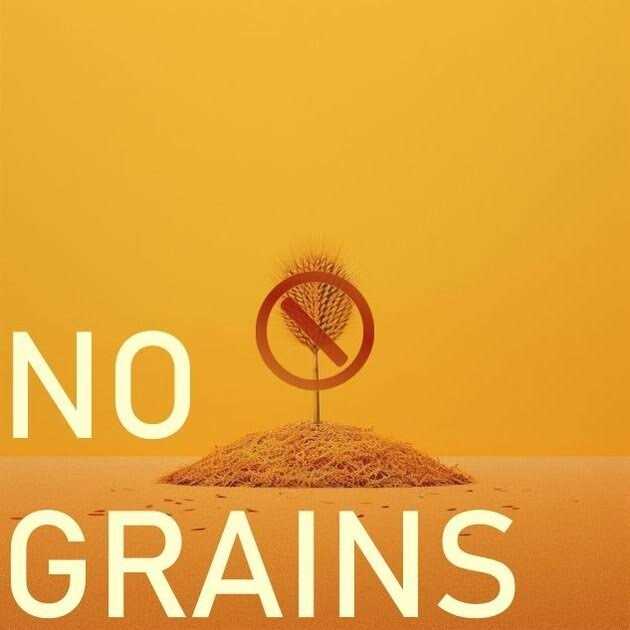Freeze Dried Chicken Pet Supplies E806239