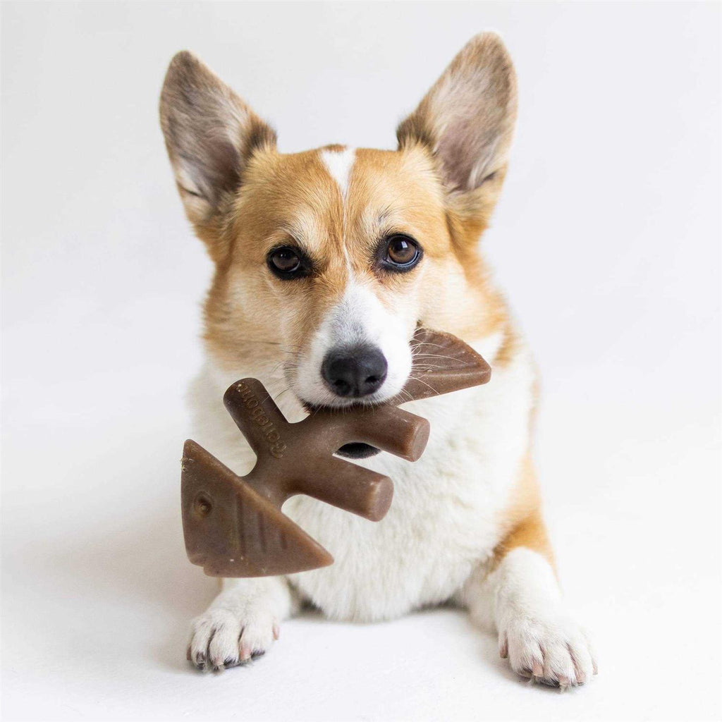 Fishbone Dog Chew G31860
