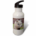 Sports Water Bottle, 21oz X41514