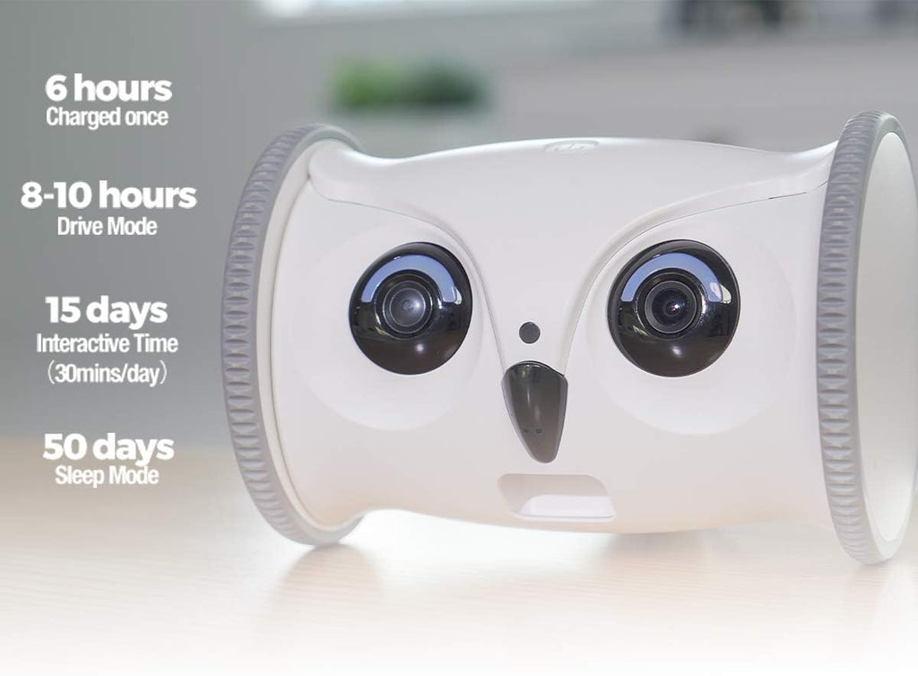 Owl Robot Pet Camera with Treat Dispenser J2781