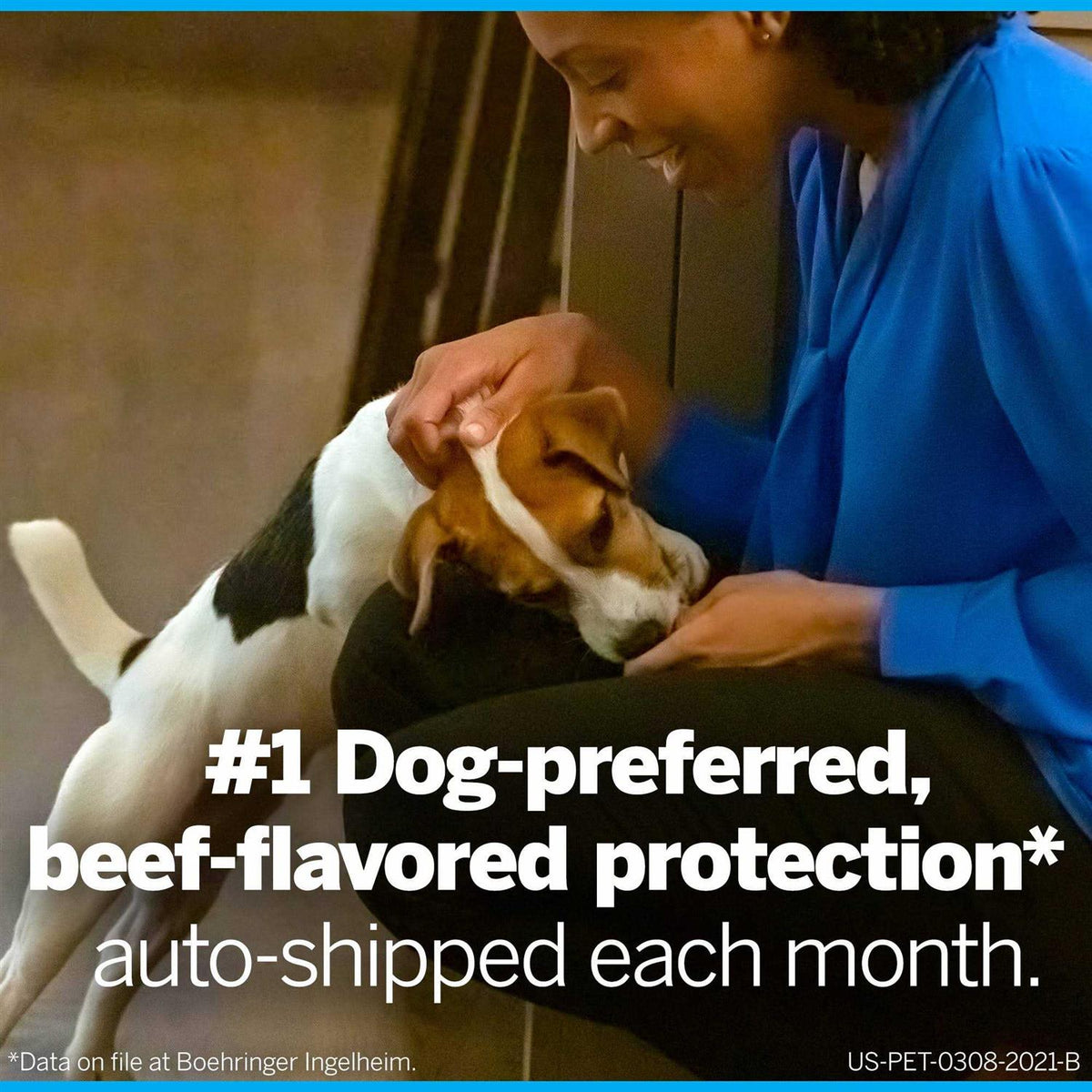 Flea and Tick Chewables for Dogs 24.1 to 60 lbs Z866