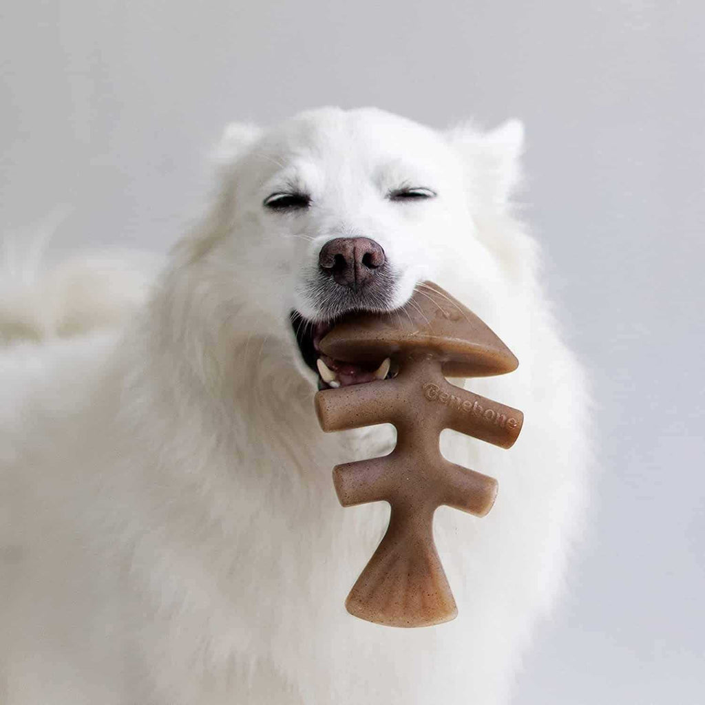 Fishbone Dog Chew G31860