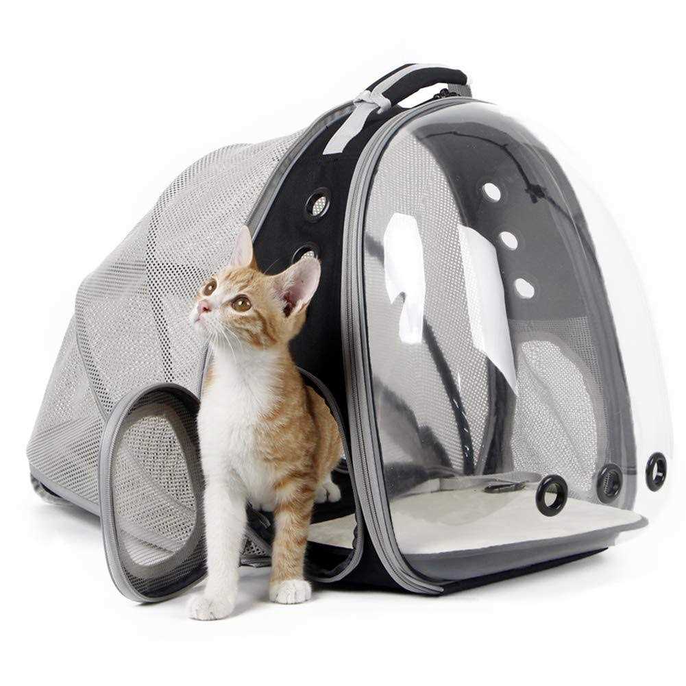 Expandable Cat Backpack Carrier up to 20 lbs H63969