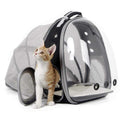 Expandable Cat Backpack Carrier up to 20 lbs H63969