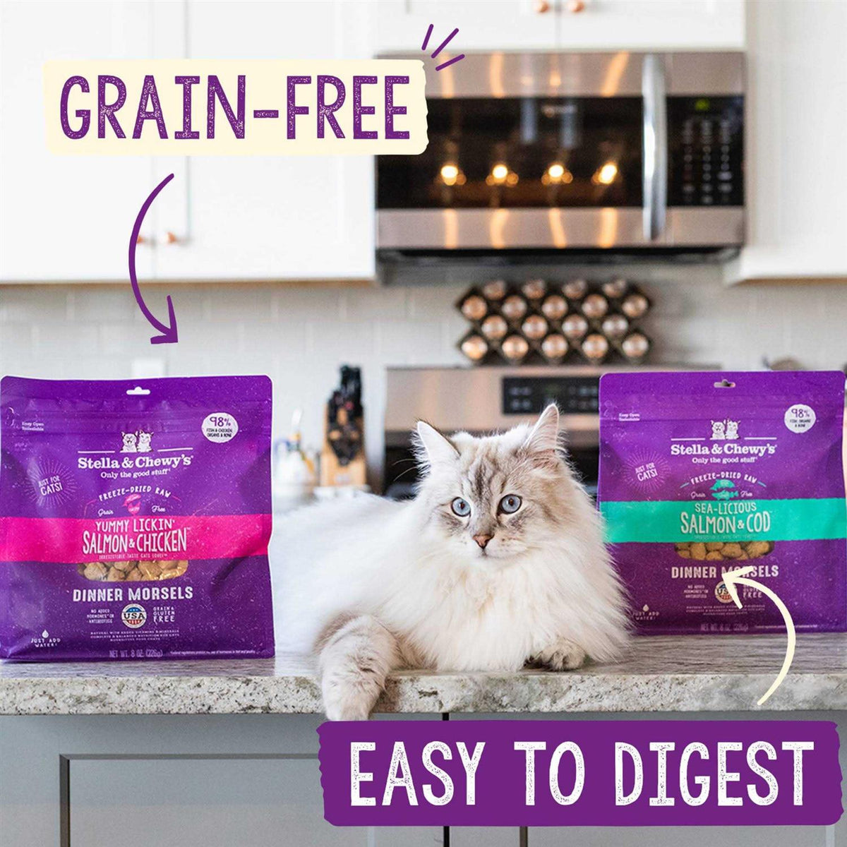 Chicken Freeze-Dried Cat Food K367